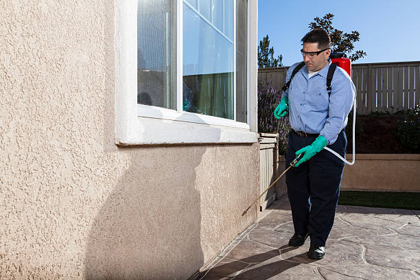 Trusted Atascadero, CA Pest Control Experts